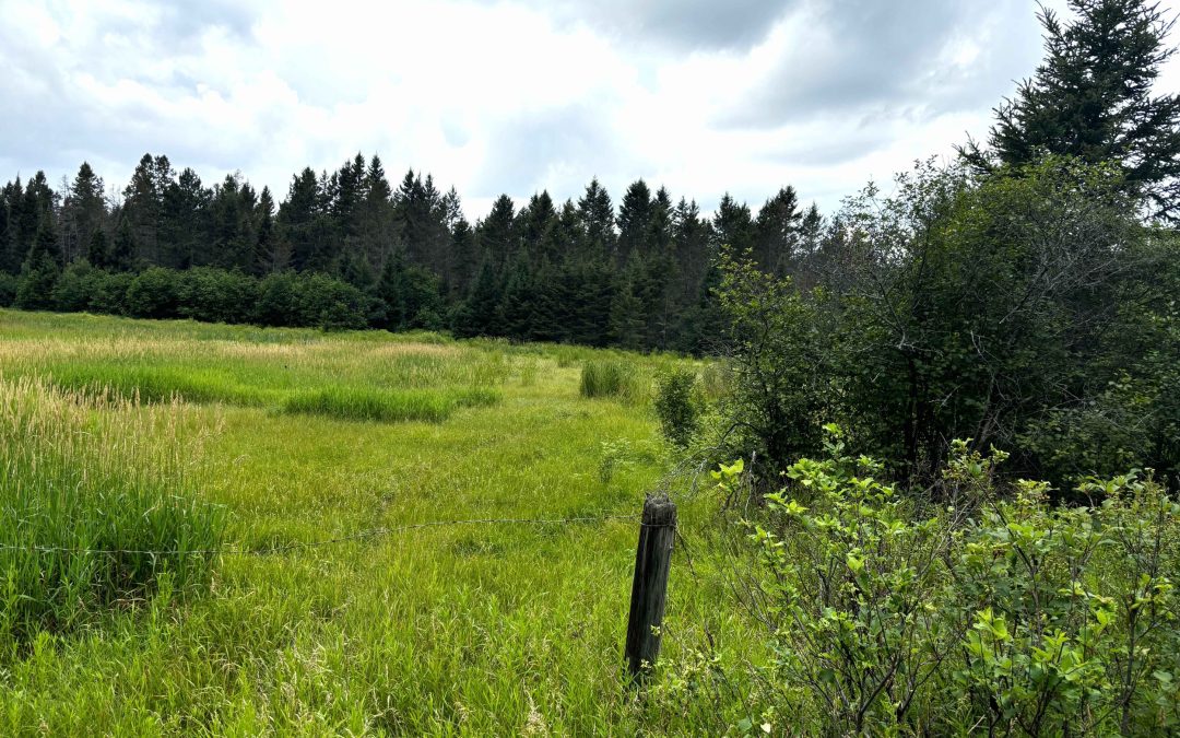 Lot 2204-10 Corbeil Road