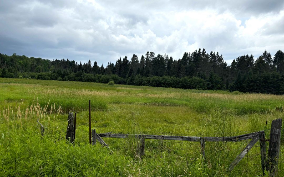 Lot 2204-11 Corbeil Road