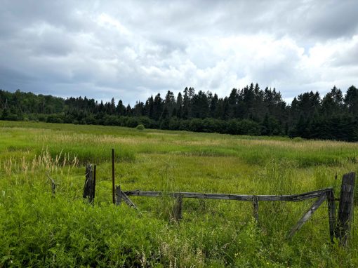 Lot 2204-11 Corbeil Road
