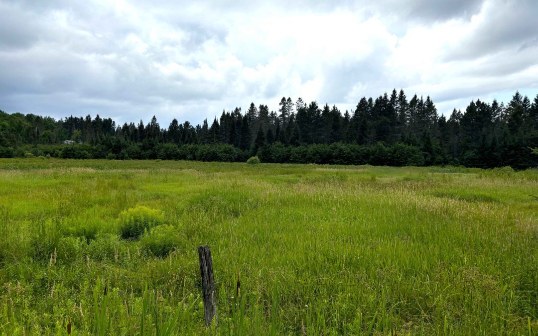 Lot 2204-12 Corbeil Road
