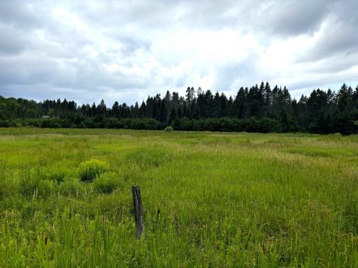 Lot 2204-12 Corbeil Road