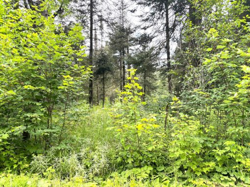 Lot 2204-14 Bertha Road