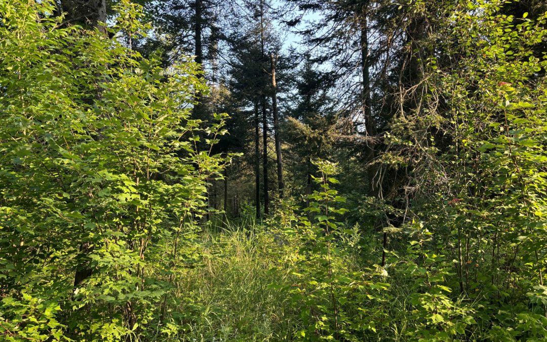 Lot 2204-15 Bertha Road