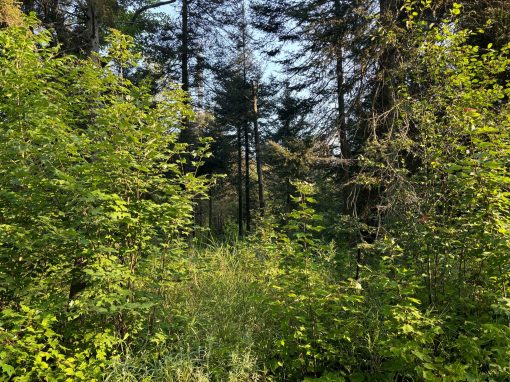 Lot 2204-15 Bertha Road