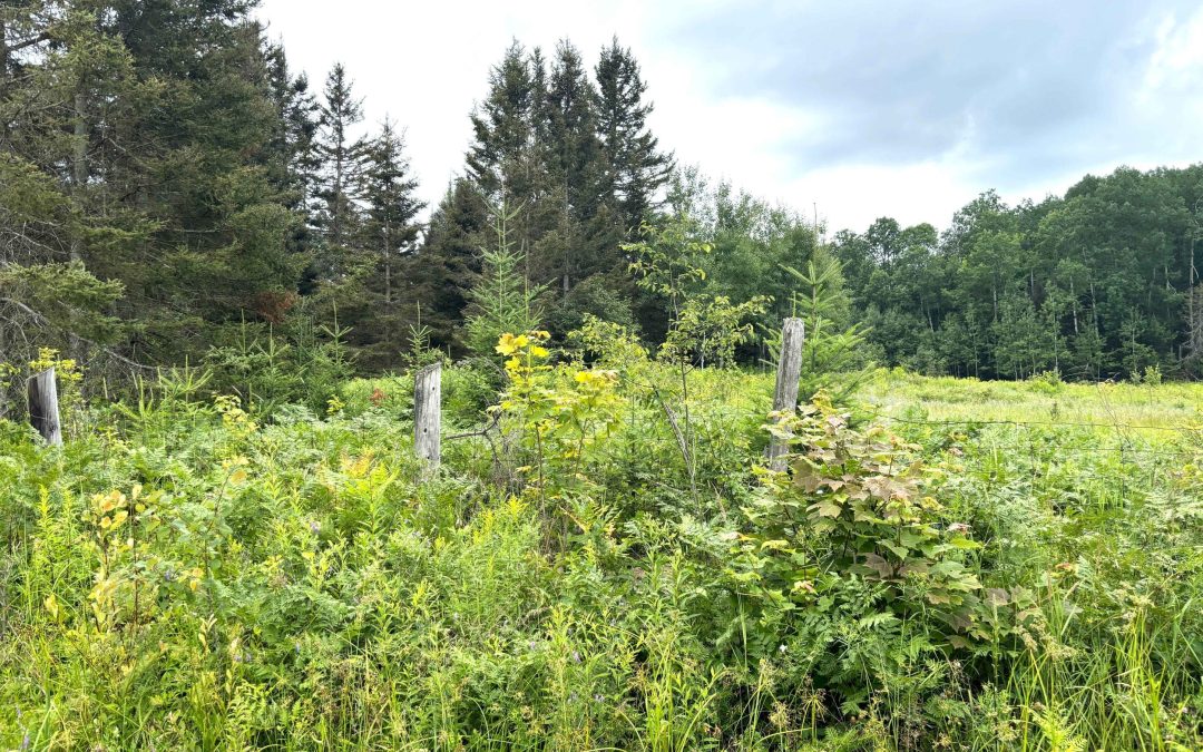 Lot 2204-2 Corbeil Road