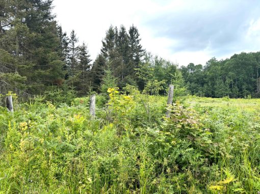 Lot 2204-2 Corbeil Road