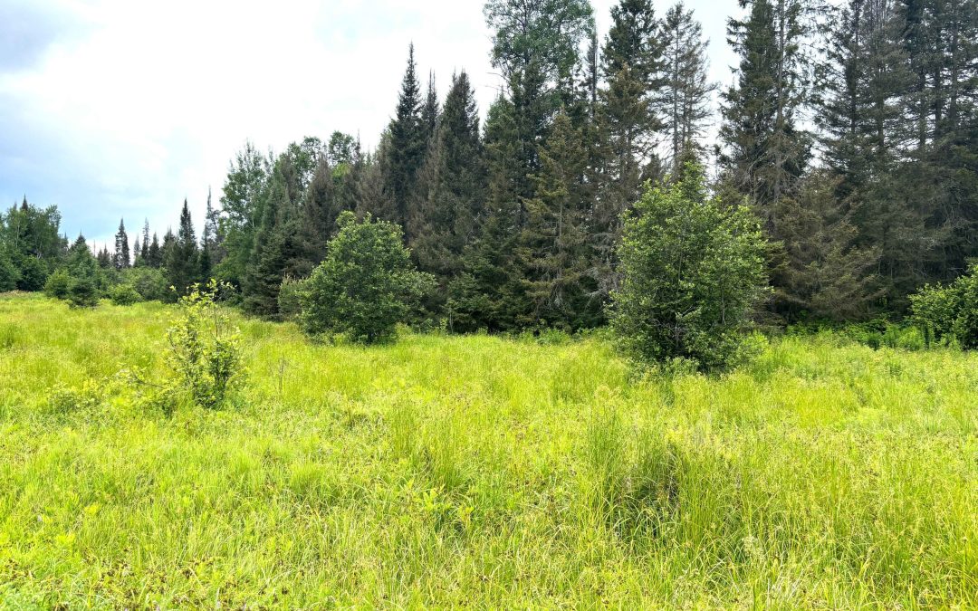 Lot 2204-3 Corbeil Road