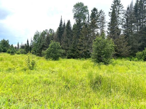 Lot 2204-3 Corbeil Road