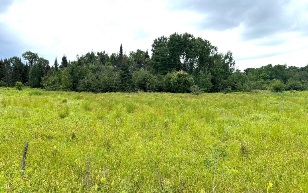 Lot 2204-4 Corbeil Road