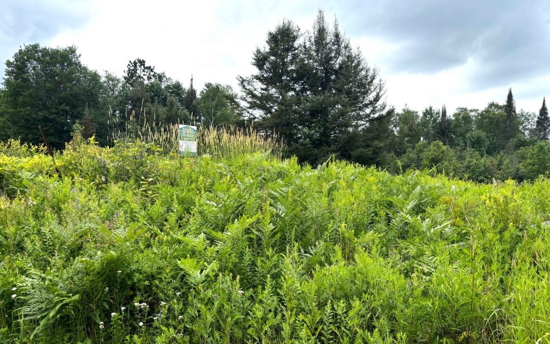 Lot 2204-5 Corbeil Road