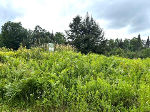 Lot 2204-5 Corbeil Road