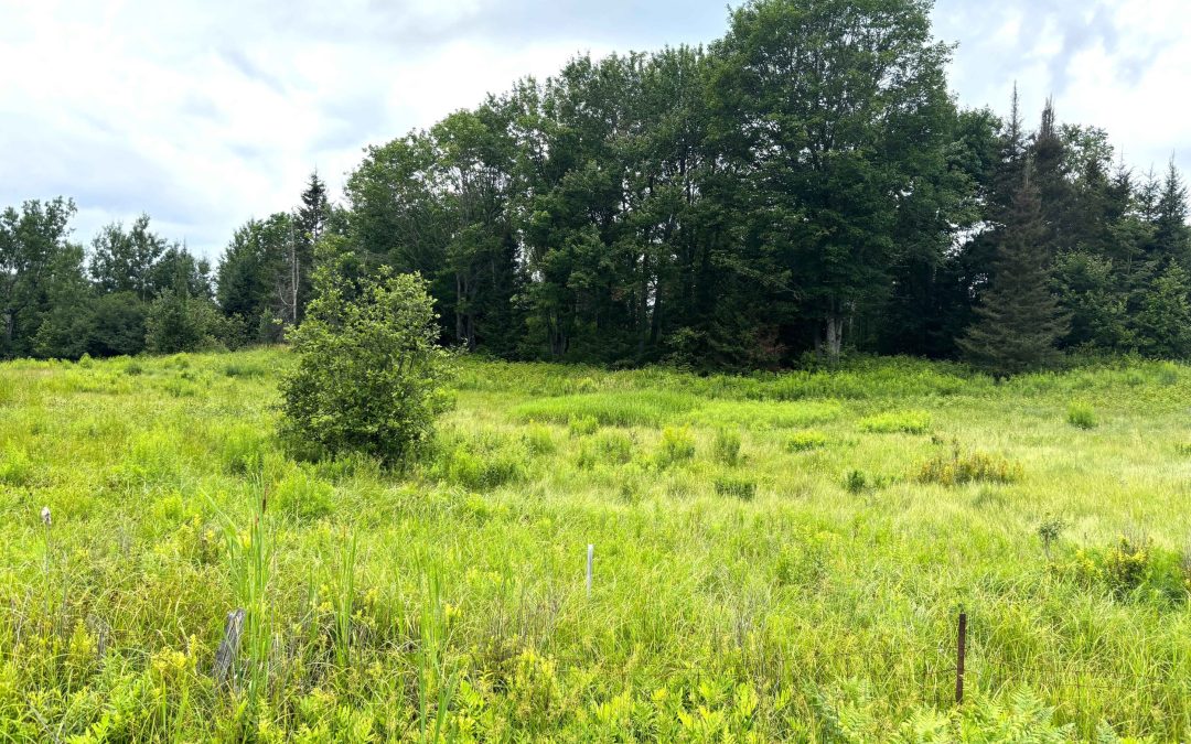 Lot 2204-6 Corbeil Road