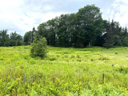 Lot 2204-6 Corbeil Road
