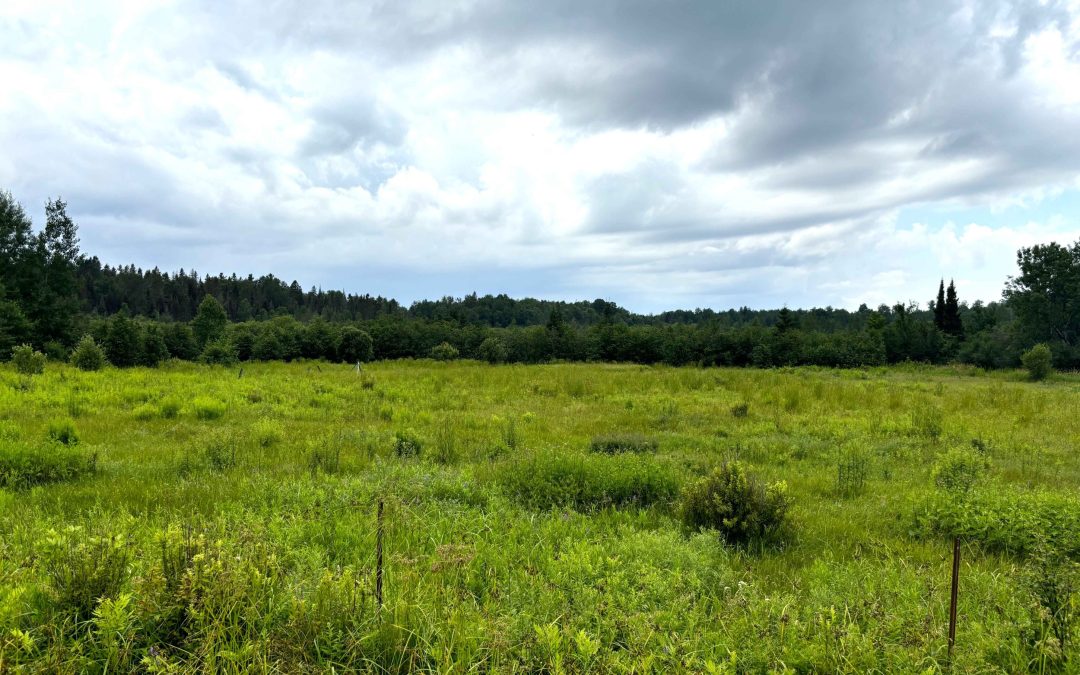 Lot 2204-7 Corbeil Road