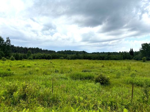 Lot 2204-7 Corbeil Road