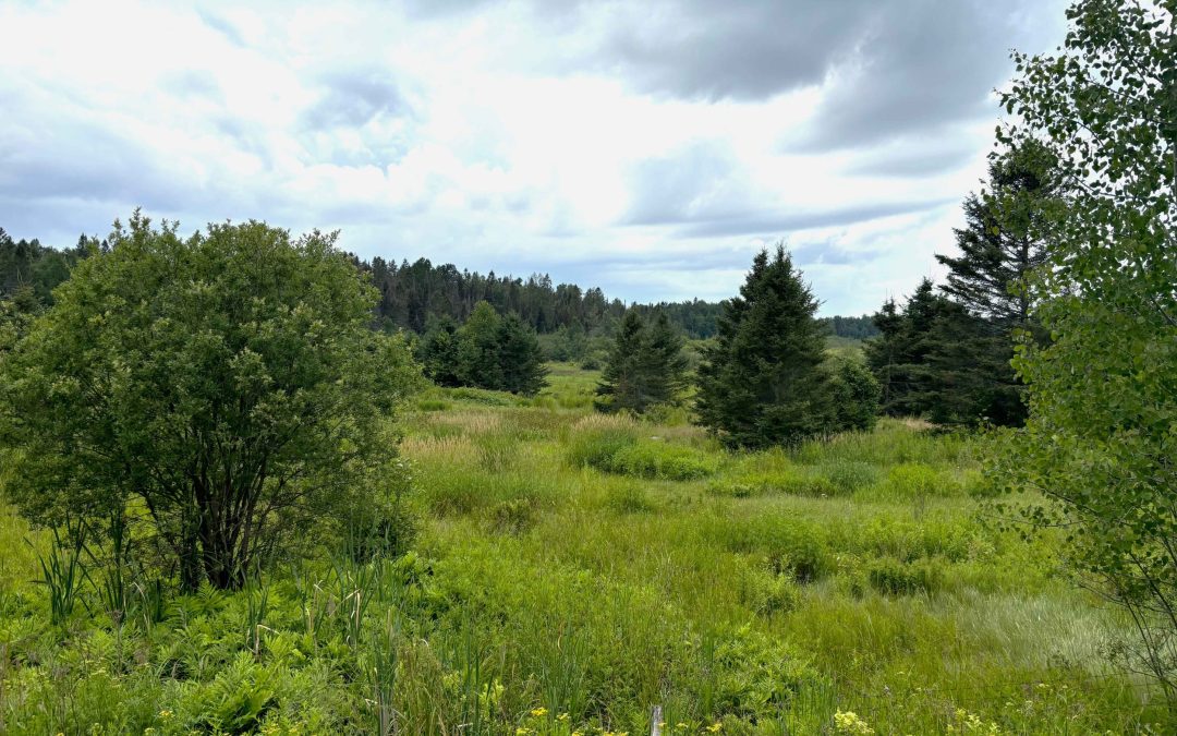 Lot 2204-8 Corbeil Road