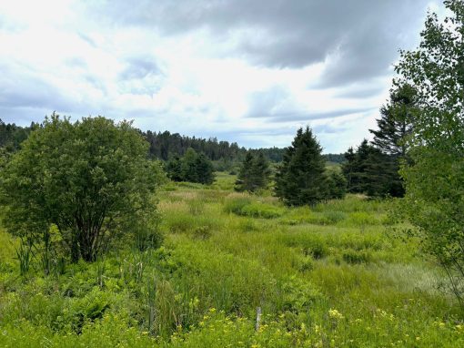Lot 2204-8 Corbeil Road