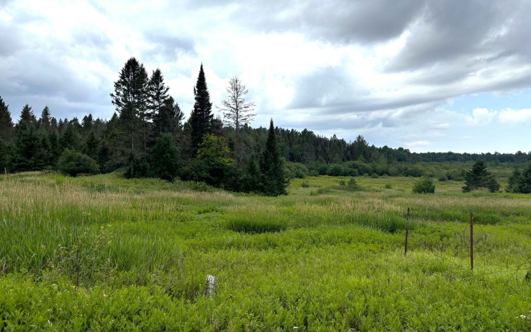 Lot 2204-9 Corbeil Road